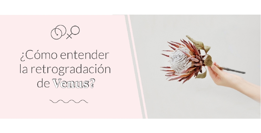 ¿Cómo entender la retrogradación de Venus?