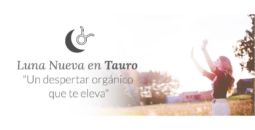 Luna nueva en Tauro "Un despertar orgánico que te eleva"