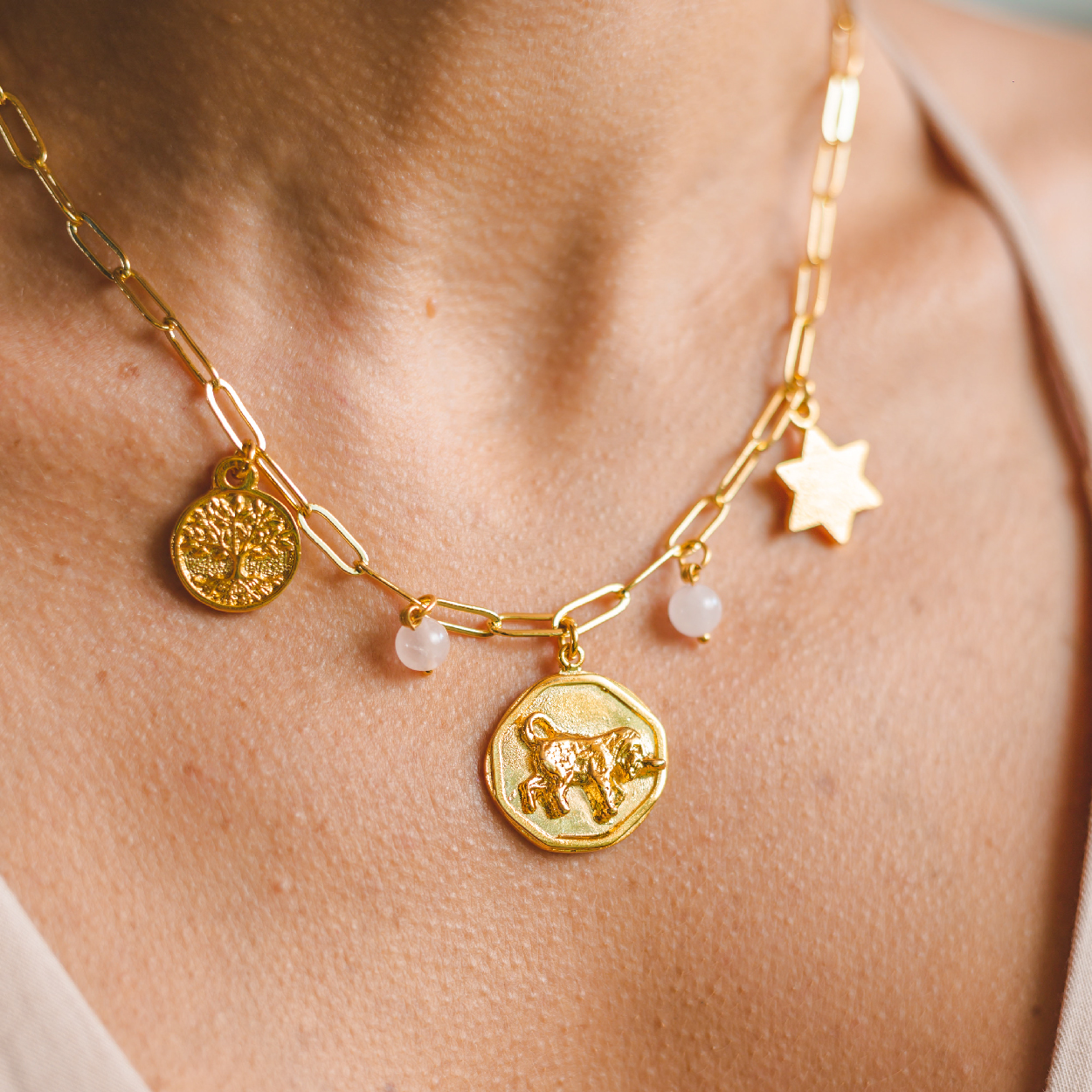 Collar Expansión Tauro